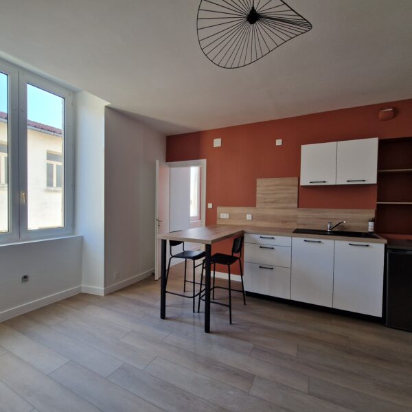 Cuisine fonctionnelle pour un appartement, joliement réhaussé par un mur de couleur terracota. Réalisation sur Bressuire.